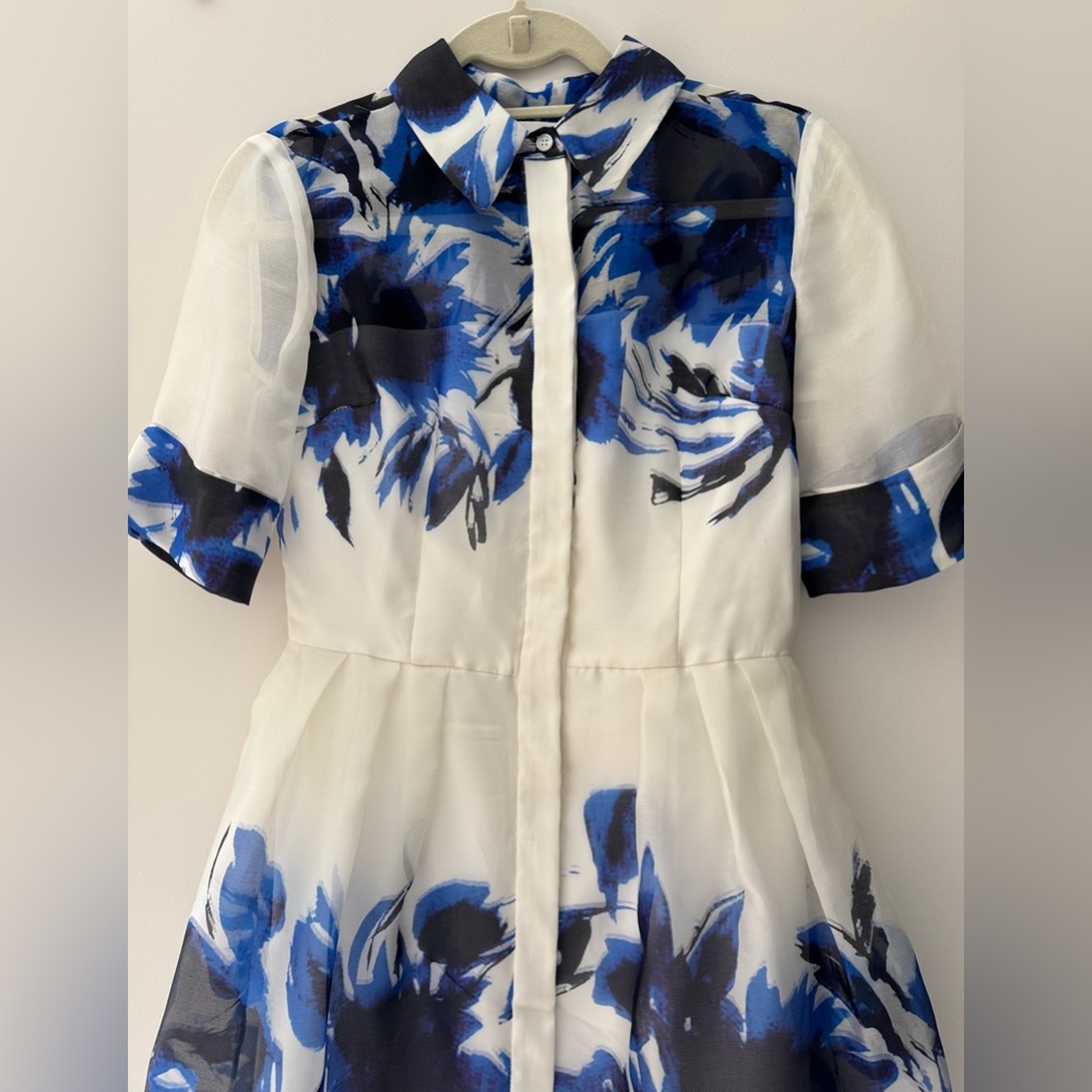 Milly Printed Silk Organza Shirt Dress - Picture 4 of 6